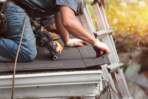Best Roof Gutter Cleaning  in West, TX